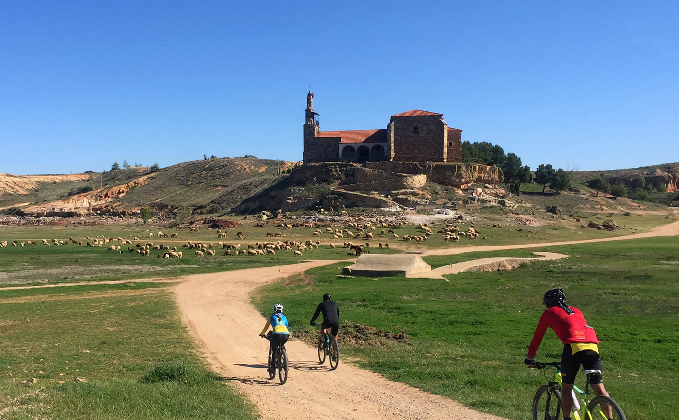 planeta en bicicletas